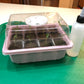 DIY Butterfly Garden Seedling Kit - 12 Pack with nutrients